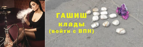 СК Алексин