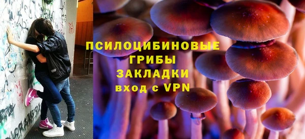 СК Алексин