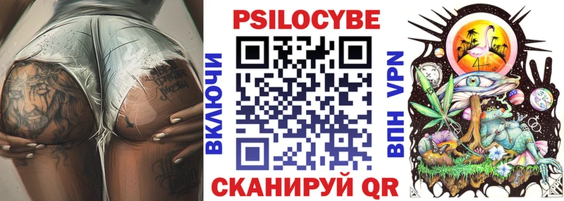 Галлюциногенные грибы Psilocybe  Славск 